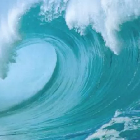 Diving into the ocean