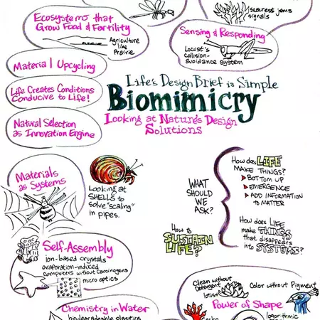 Biomimicry