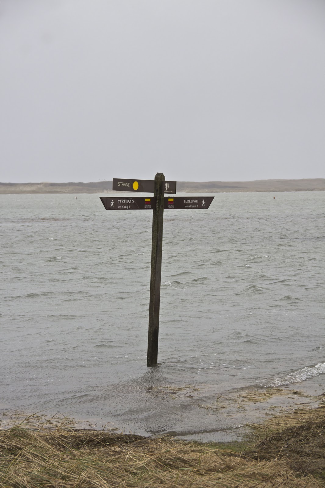 201112 Texel 004.jpg