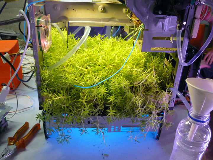 Development of algae-based water cooling system with internal vegetation.