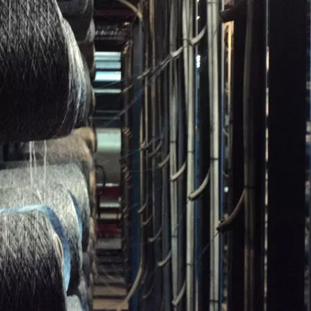 Life's Principles - A Tutorial