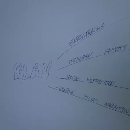 Play dimesion in the Biomimicry workshop: part 1