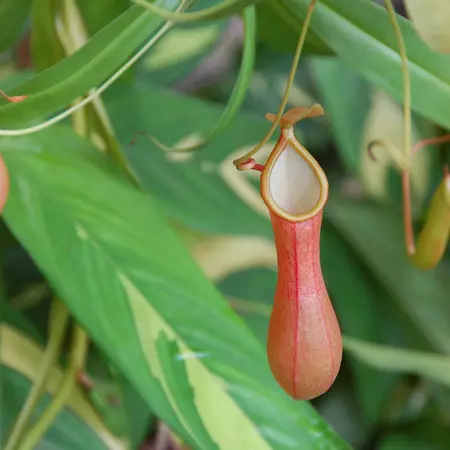 510948435_59f3af6de2_b