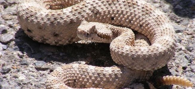 63121228c6bdfe240179fd06bad21813