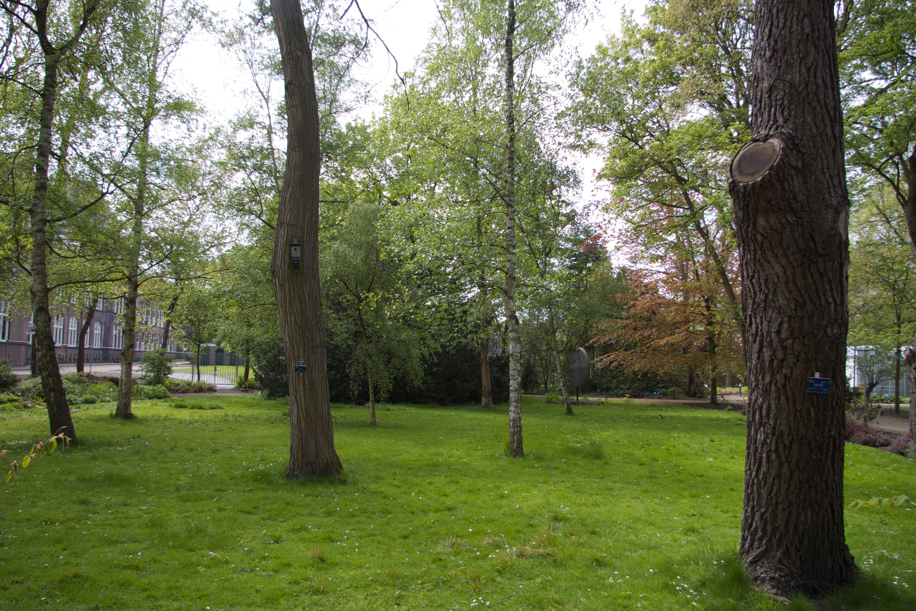 Botanical Garden at TU Delft