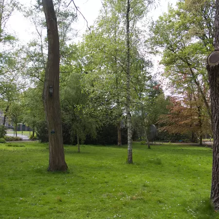 Day 4 (Thursday 21, March 2013)