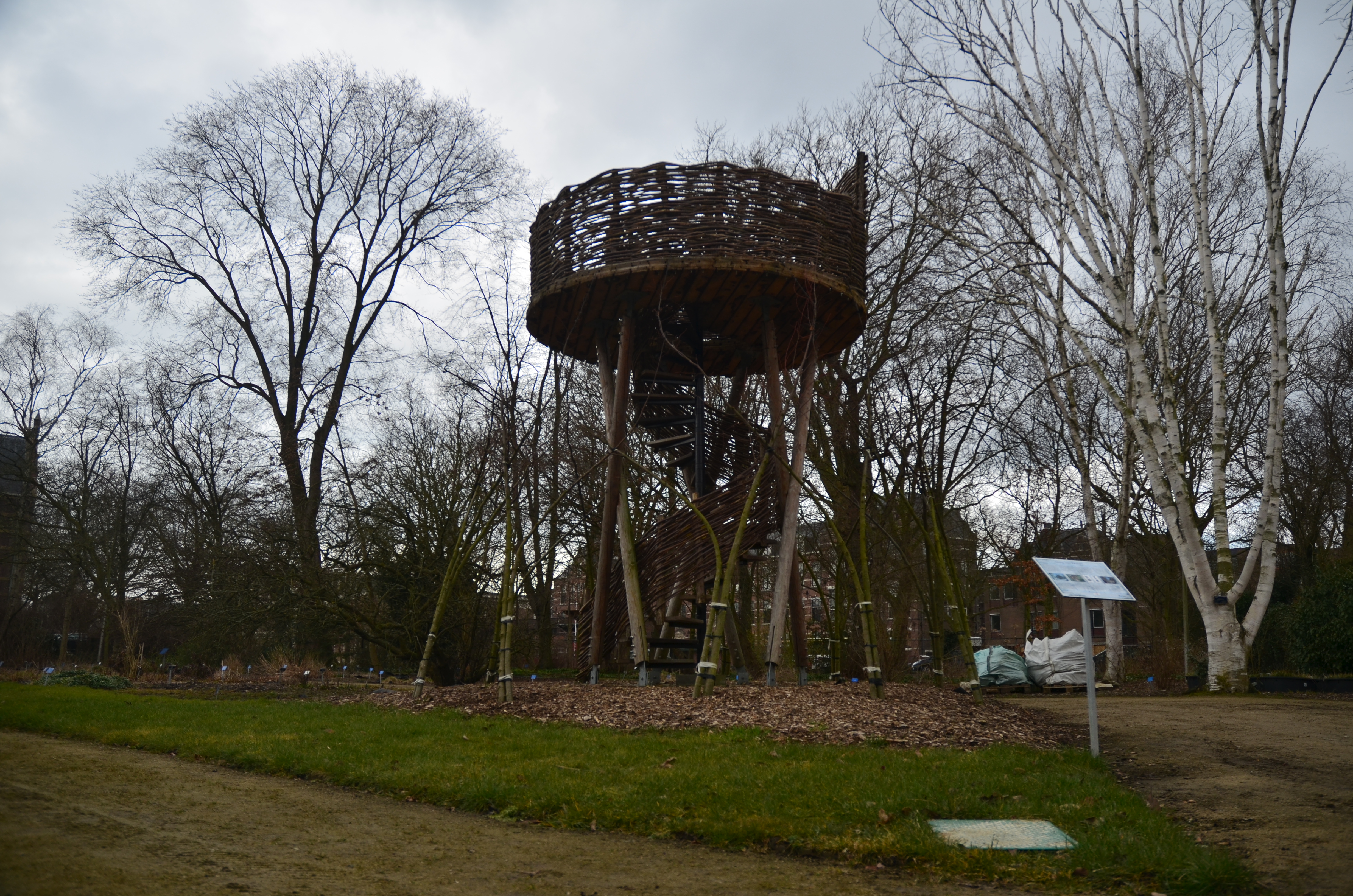 Living tree Pavilion