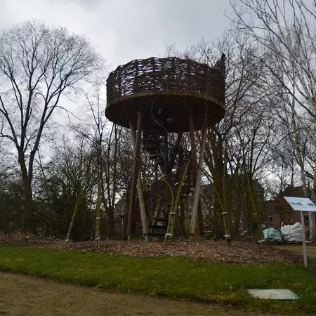 Living tree Pavilion