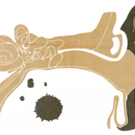 A concert hall can be the place to learn anew how to deal with time.