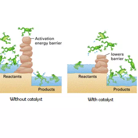 What can sustainability learn from chemical engineering?