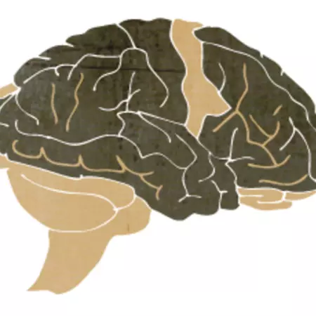 Although there are thousands of professional musicians in the Netherlands, television mainly shows amateurs and wannabe’s competing with each other in audition programs.