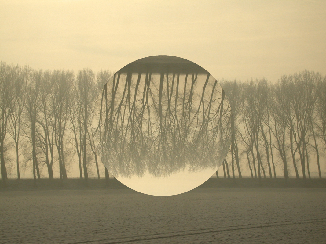 World upside down, by Anna Carlgren. A perceptible illusion, 200x100 cm. Photo: Wyke Valkema