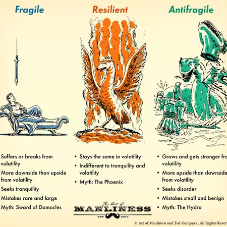 Between vision and action 