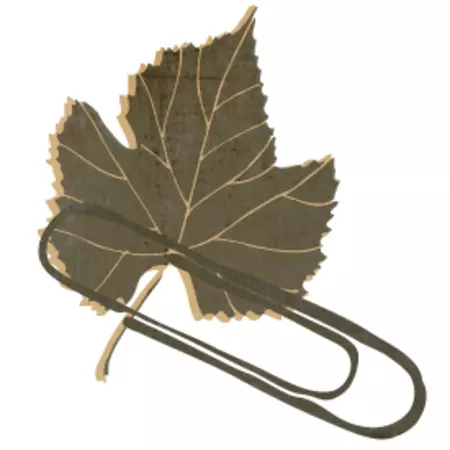 As soon as the applause has dyed away, the musicians disappear into the dressing rooms.