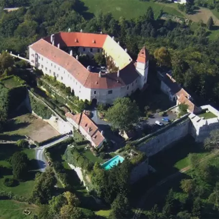 Luka and the Last Celebrity