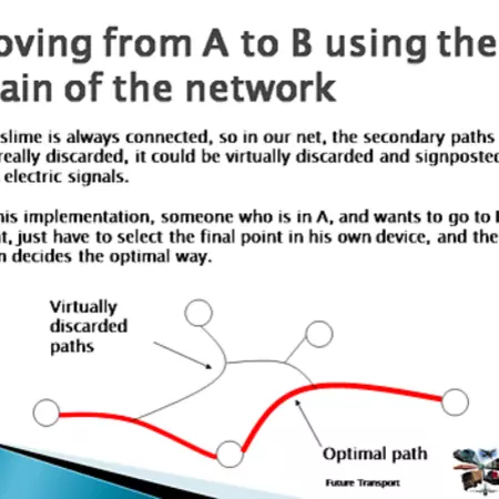 Moving throught the slime net