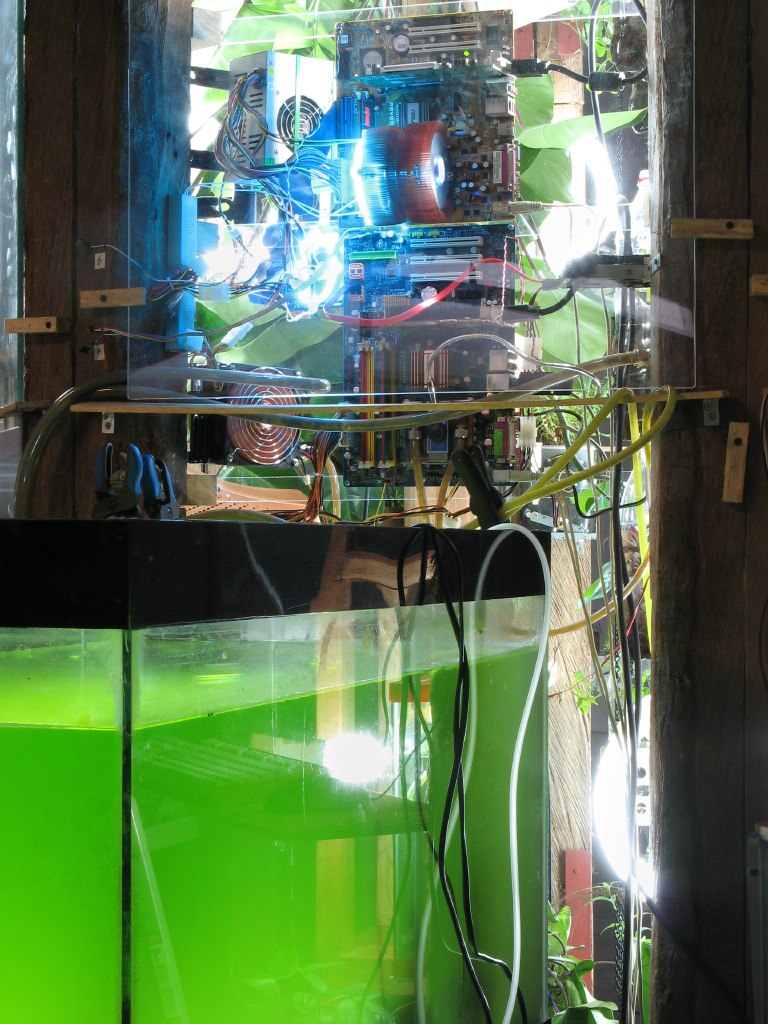 Biomodd [LBA2], Philippines, 2009.