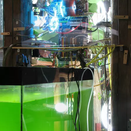 [1] Symbiosis between biology and technology