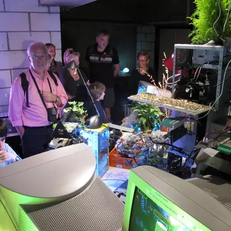 Witnessing collaboration