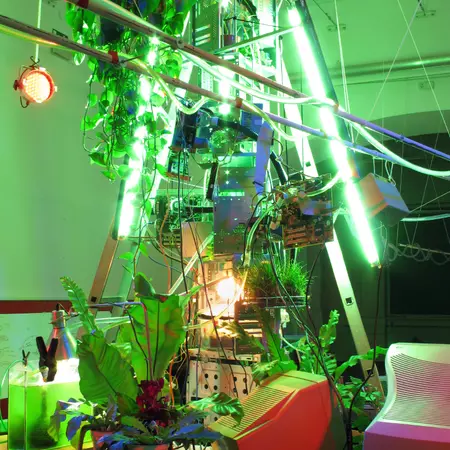 Biomodd Workshop Maribor, Slovenia, 2010. Installation view.