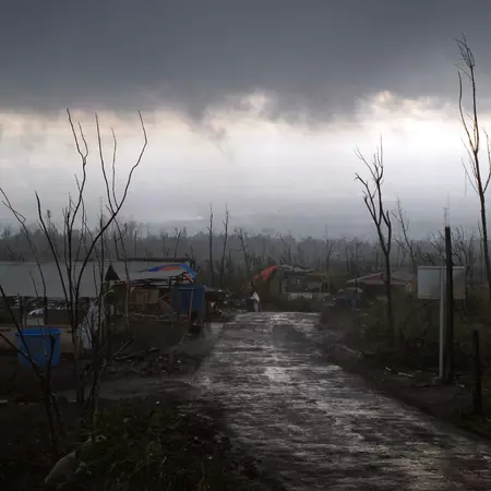 Violence as natural principle