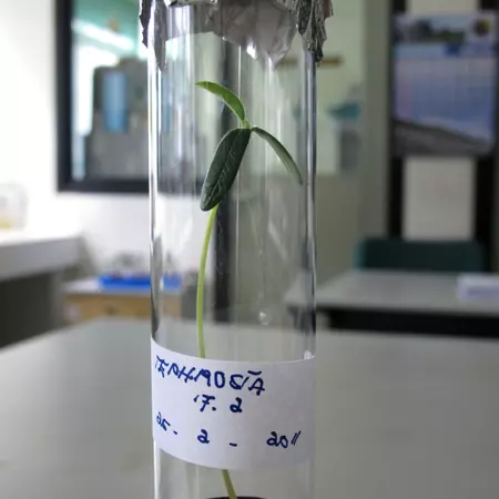 Failure and survival