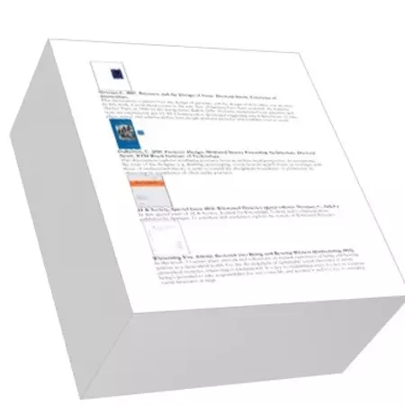 Initial Body of Knowledge