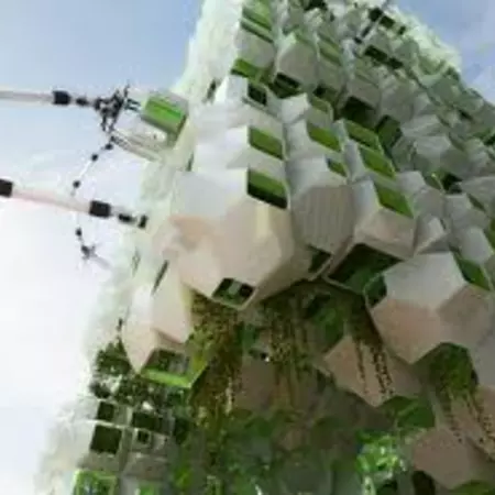 First project introduction