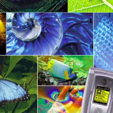 Biomimicry is a tool