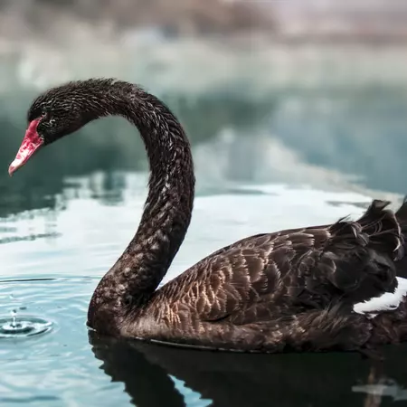 Let’s not abandon ‘shrinking areas’