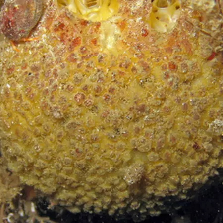 Saving energy on light