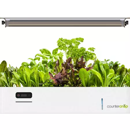 Mimicking Sunlight for Plant Growth