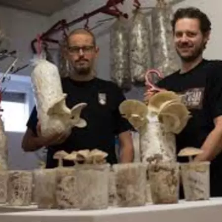 Blue economy example - Rotterzwam growing mushrooms on coffee waste