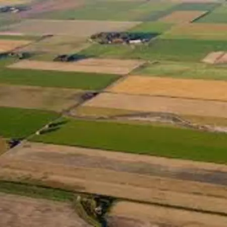 Argiculture on Texel