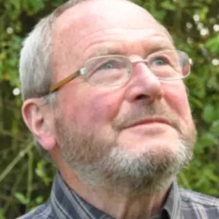 Day 2: Of Buzzing Bees and Brainstorms