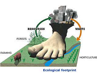 ecological footprint