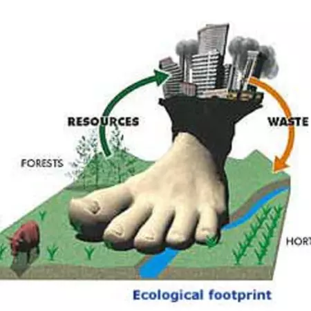 ecological footprint