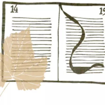 Every place in the world has it’s own code, with corresponding behaviour.