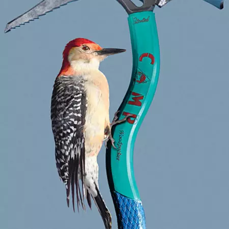 feature-129-biomimicry3LG