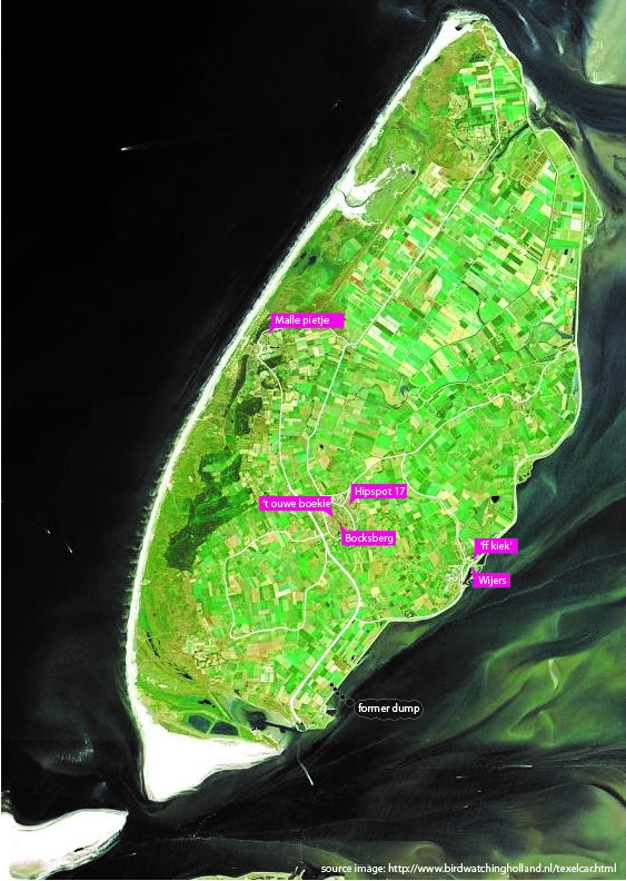 FIGURE 2 THE SECOND HAND SHOPS ON TEXEL