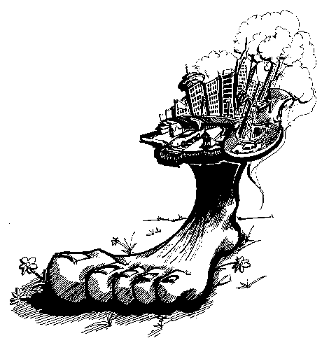 Ecological Footprint