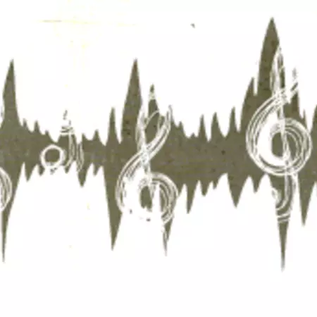 For centuries, music was above all something to do.