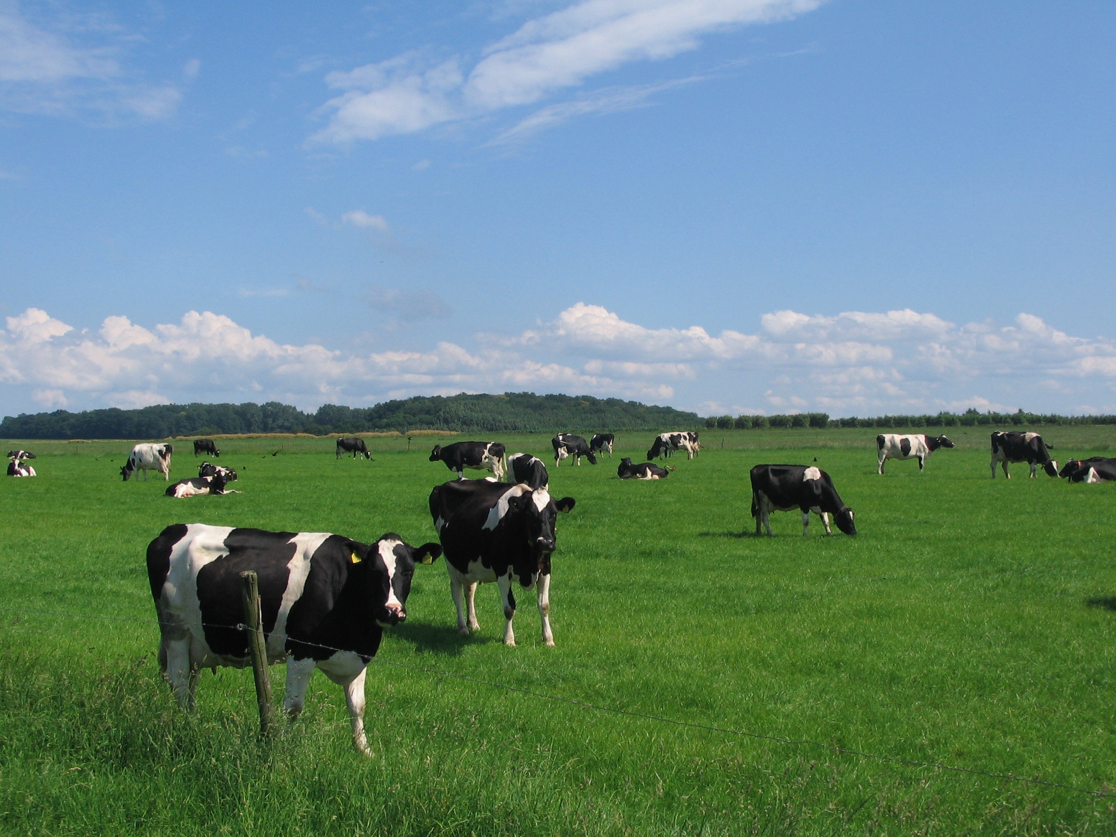 foto voor bij structuurvisie01.JPG