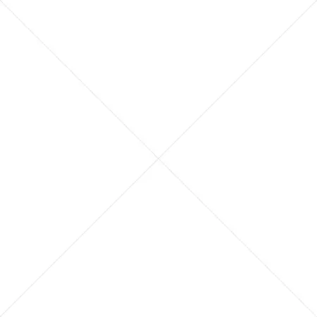 Future initiative.jpg