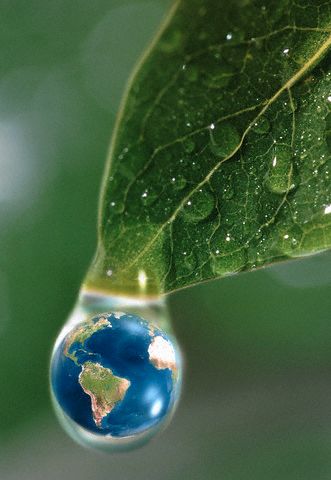 Susteinability and Ecology