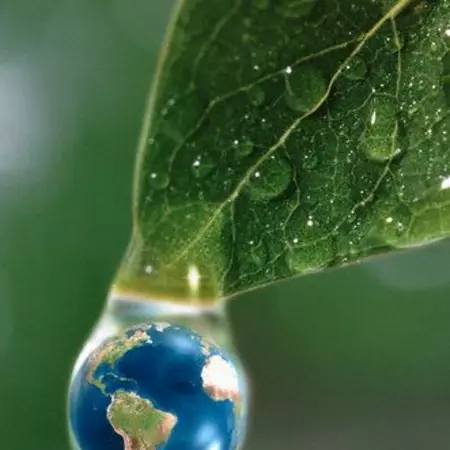 Sustainable and Ecological Design