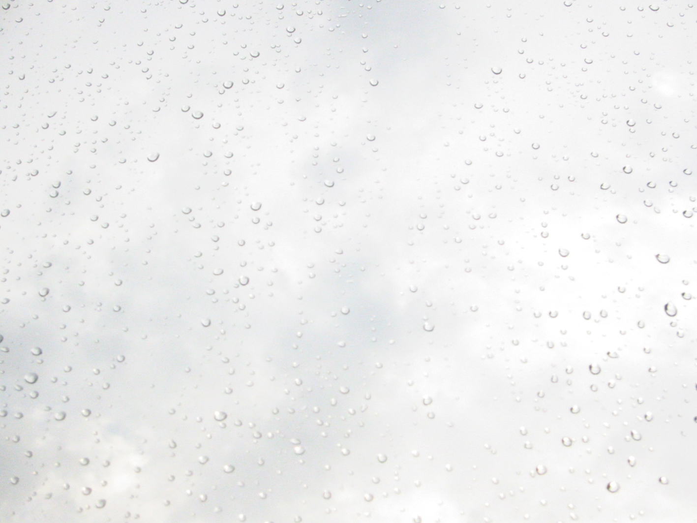 Rain on glass (Each drop is a little lens)