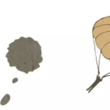 Going to a soccer game is no longer reserved for a specific type of public.