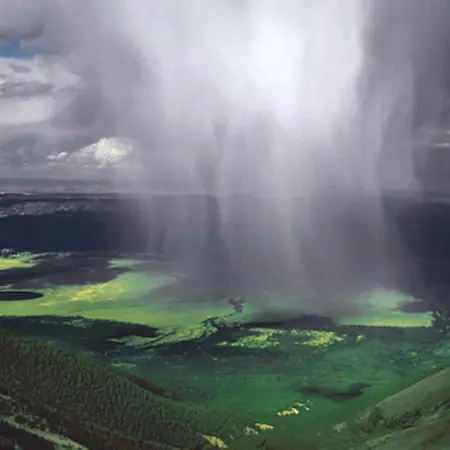 Who lives in the community