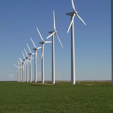Windmills run on subsidies instead of on wind